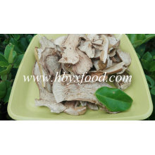 All Grade Dried Mushroom Boletus Edulis Growing